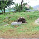 가평낚시터 이미지