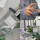 아이리스(IRIS) | 비누향향수 은은한 살내음 아로 ahro 아이리스 비누 향수 Iris soap 후기