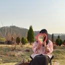울산텐트대여 울산피크닉 태화강텐트존 후기 : 피크닉109 태화강점 인싸세트