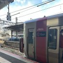 안양온천 쪽 교통섬 | [일본, 히로시마] 라이브맥스 리조트 미야지마(LiveMax Resort Aki Miyajima) 후기 뷔페 비추..?