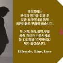 렛츠셋