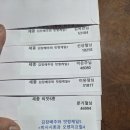 김장배추와 맛짱케일 이미지