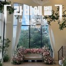 햇살가득90 | 대전 라비에벨 웨딩홀 투어 후기 포레스트뷰 단독홀 &amp; 호텔식 즉석뷔페 꼼꼼체크