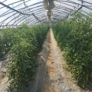 현주농장 이미지