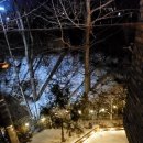 제니스 무인텔 이미지