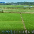 호두나무집식당 이미지