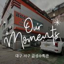 금성수족관 | [Place] 대구 서구 수족관 물생활 입문자도 부담 없는, 금성수족관