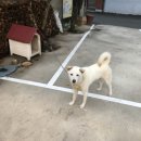 이가네참나무장작구이 이미지