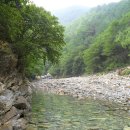덕산기의아침 Daum카페
