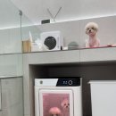 황진이룸 이미지