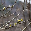 얼레지펜션 이미지