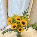 중앙동289 이미지