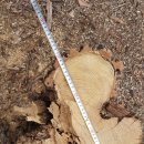 은평-002 이미지