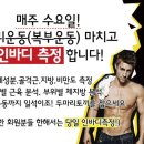 전일복싱 상무관 이미지