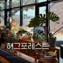미금자동차갤러리 | [용인] 허그포레스트 - 주말 여유로운 고기리 카페 데이트
