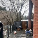 트리몰리 이미지