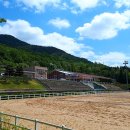 대덕승마장 이미지