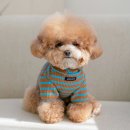 멋내는 강아지 이미지