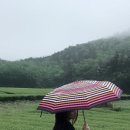(주)율석