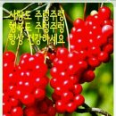 주식회사 친환경케어