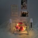 베베케이크