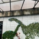 자연사박물관우석헌 이미지