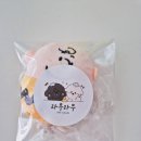 스누피 펫살롱 이미지