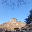 청량산 유아숲체험원 이미지