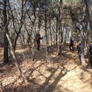 수리산둘레길 이미지