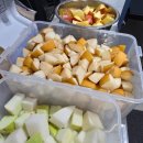 산청동물의료센터 이미지