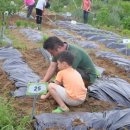 재원농장 이미지