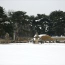 인성목장 이미지