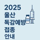 강이비인후과의원 | 2025 울산 독감예방접종 일정 총정리 | 무료 대상자·병원 안내