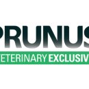 굿메딕스 이미지