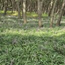 송림쉼터 이미지