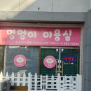 댕댕이 애견미용샵 이미지