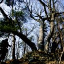 산골짝 민박 이미지