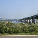 잠실공원 화장실 이미지