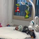 명랑수산 이미지