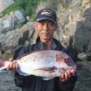 가거도 태양 이미지