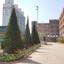 평택성동초등학교 이미지