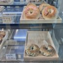 (주)초록공간 | [강원도 카페] 초록 뷰 맛집 숲속 한가운데에서 찾은 쉼, 평창 대형 카페 '거커리숲' 힐링 후기