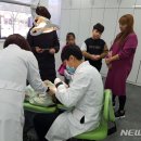 보건소 이미지