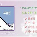 현수합열경락