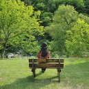 지호농원 이미지