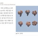 미소담한의원 이미지