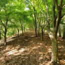 힐스테이트데시앙도남2단지경로당 | 대구 응애산(새골산), 만봉, 자지산