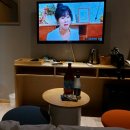 부호텔 | 내돈내산 담양 숙소 boo hotel 부호텔 후기