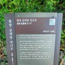 금대암 - 1855 | 금대암
