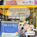 동편마을2단지 정문 오른쪽 | [파주/탄현] 반려견과 함께 다녀온 쩨니네펫샵 방문 후기 (feat. 간식 배터지게 먹고옴)